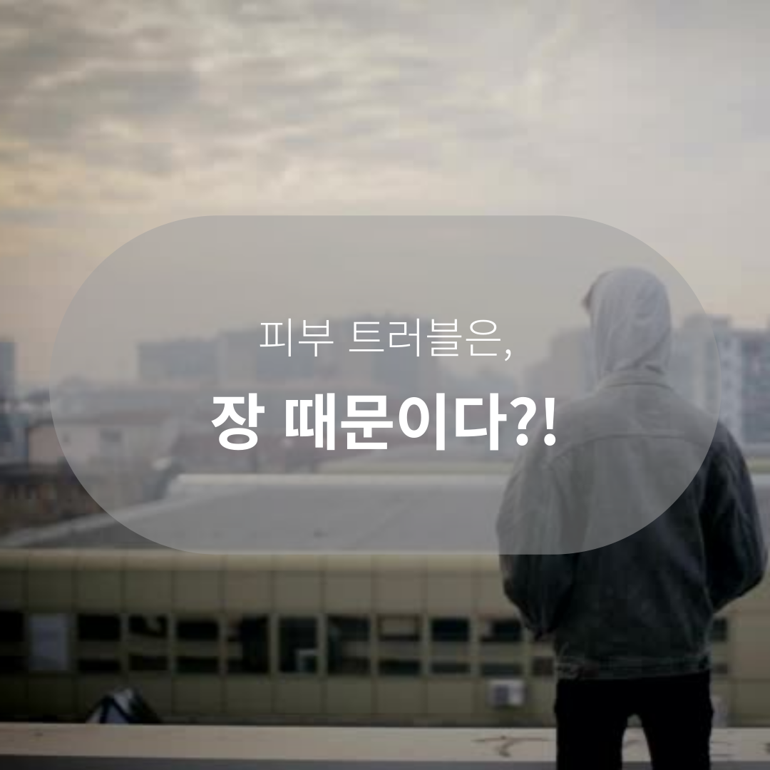 청소년기 트러블