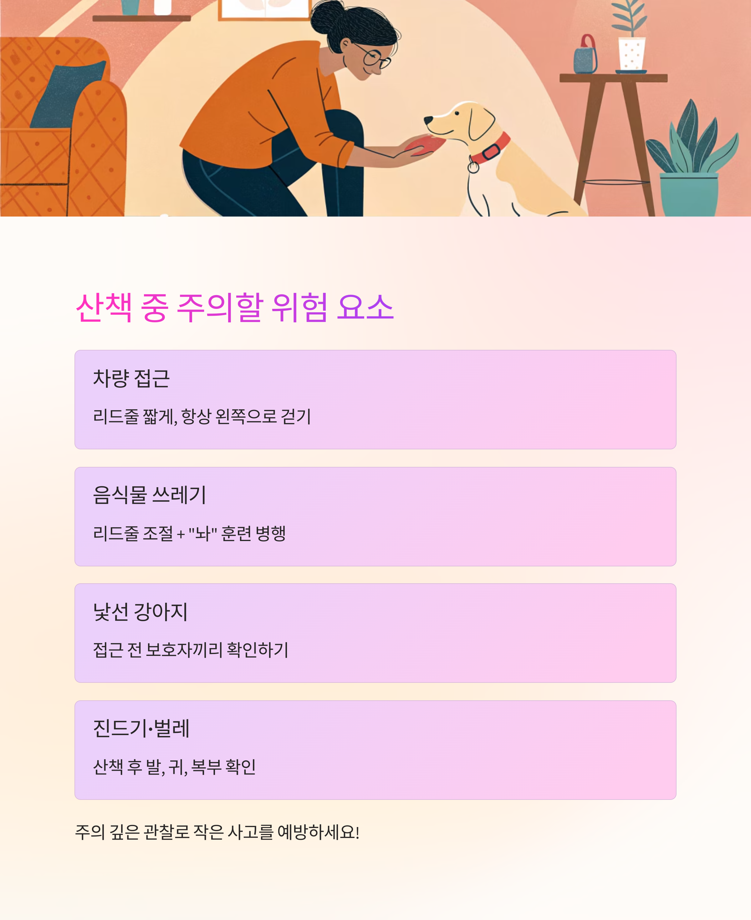 산책 중 주의사항