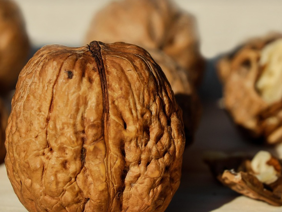뇌 건강과 혈관 기능 유지에 도움을 주는 호두