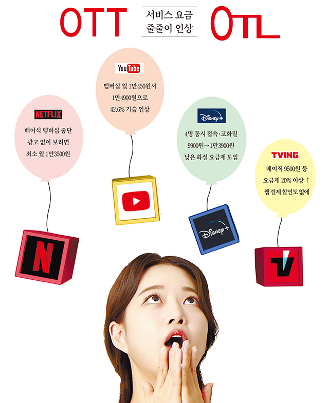 스트림플레이션의 영향