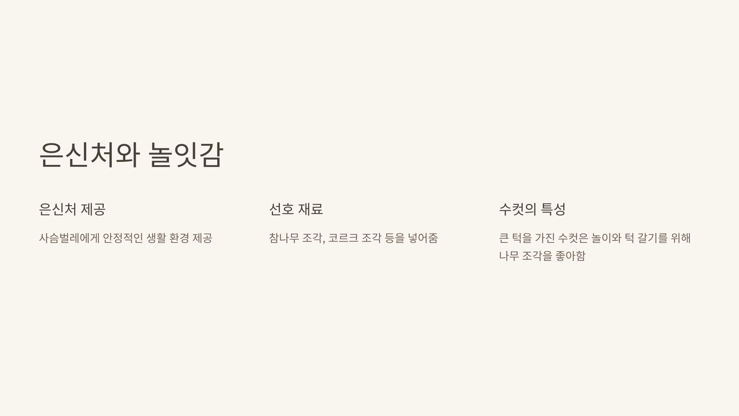 사슴벌레 사진입니다.