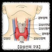 눈으로 보는 건강 신호: 갑상선저하증부터 폐암까지 안질환 증상 파헤치기