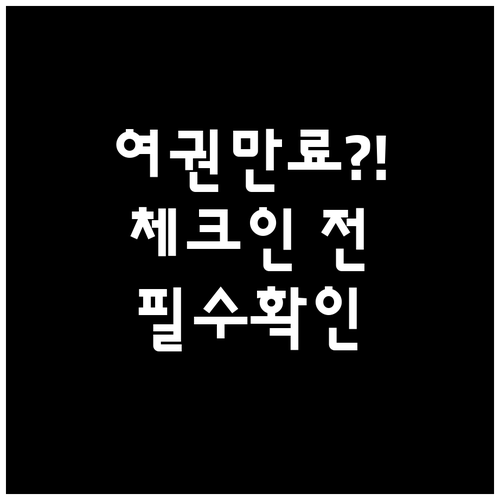 로얄브루나이항공 온라인 체크인 절차와..