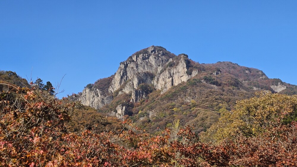 전북 정읍 백양사 가을 트레킹 : 늦가을 단풍 산책코스 & 백학봉 포토존 추천