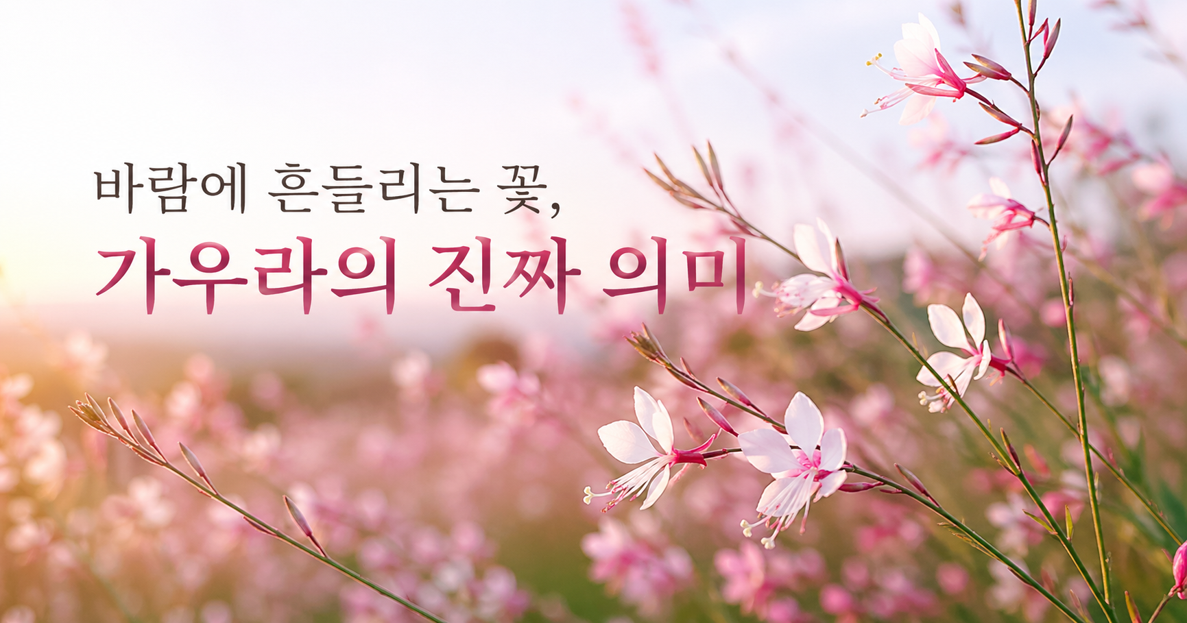 가우라 꽃말