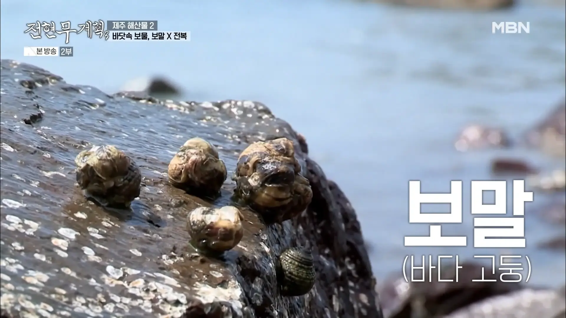 모슬포항 옥돔식당 보말전복손칼국수