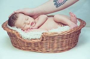 주민등록 사실조사 비대면