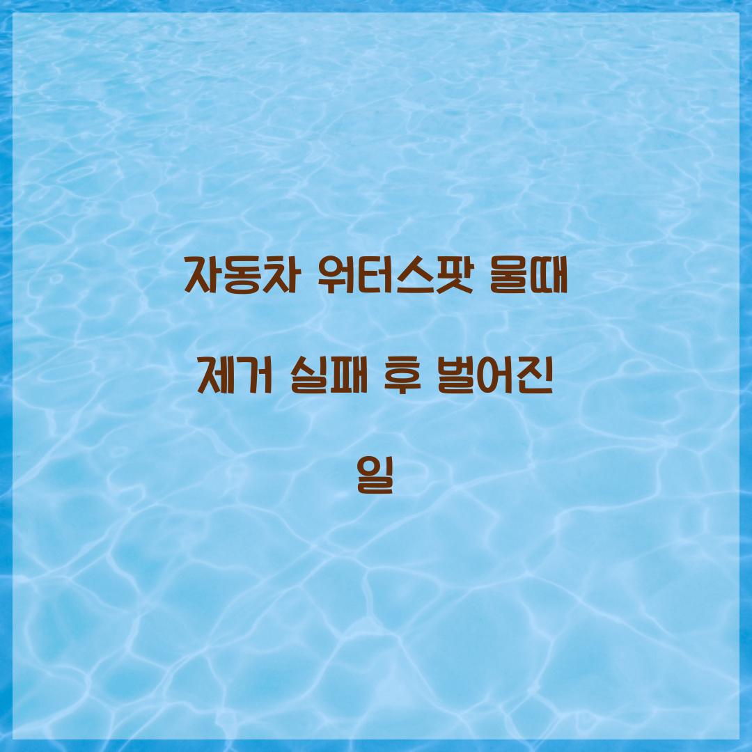 자동차 워터스팟 물때 제거 실패 후 벌어진 일