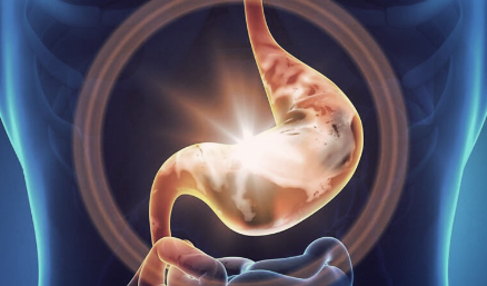 십이지장 궤양의 원인