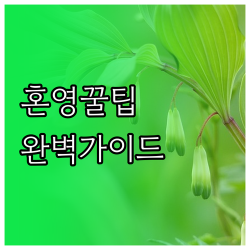 혼영의 모든 것: 영화관 선택부터 몰..
