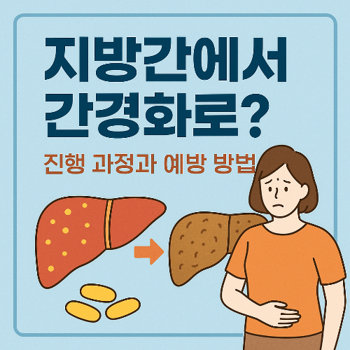 지방간에서 간경화까지, 절대 가볍게 보면 안 되는 경로