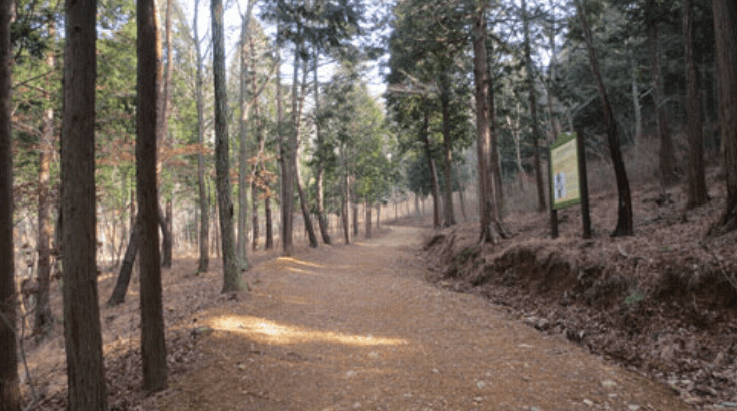 국립자연휴양림 