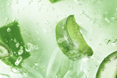 알로에 베라 젤