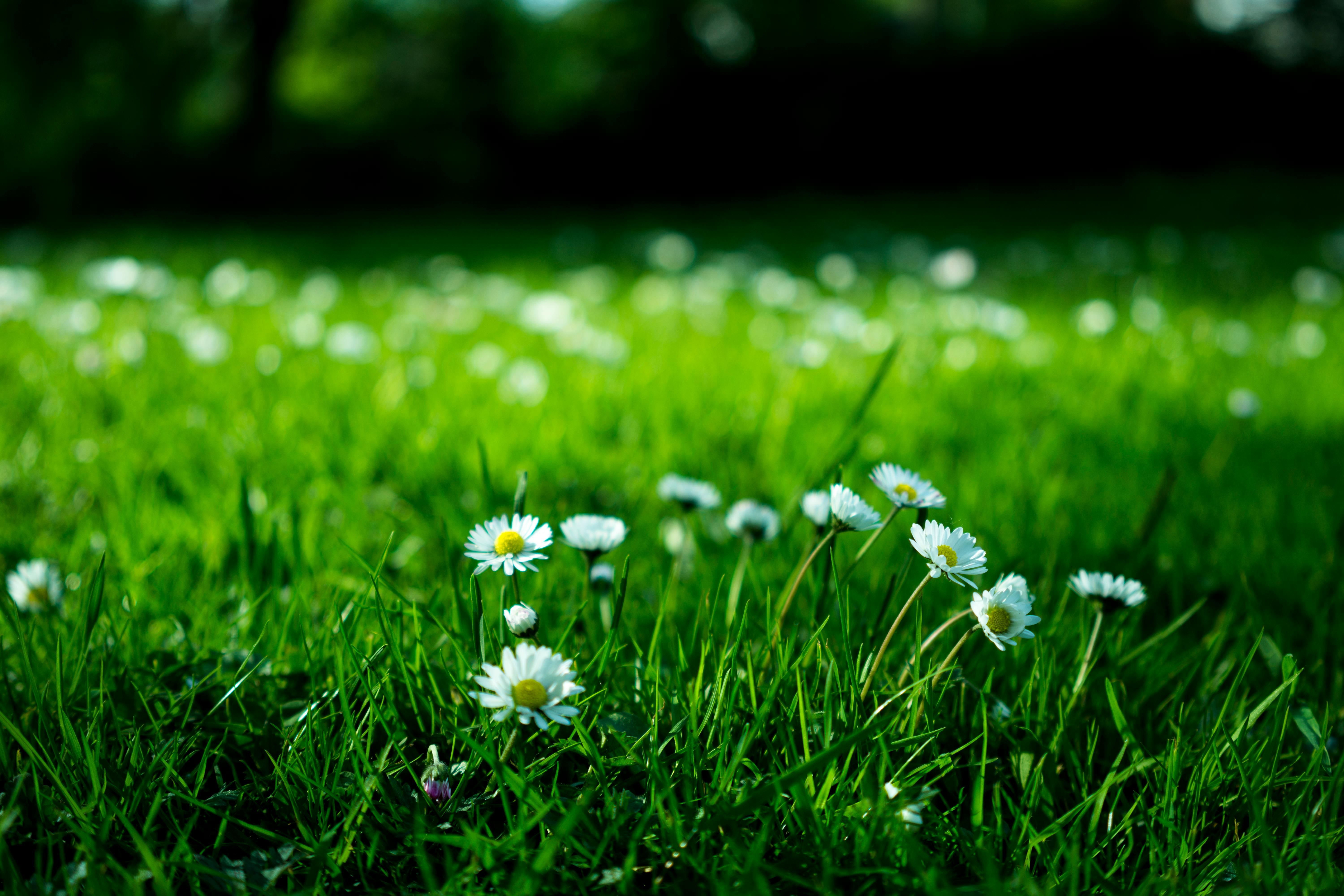 햇살론 vs 다른 정책자금, 어떤 선택이 내 상황에 맞을까?