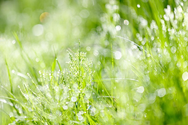 국민건강보험 임플란트 조건부터 비용, 나이