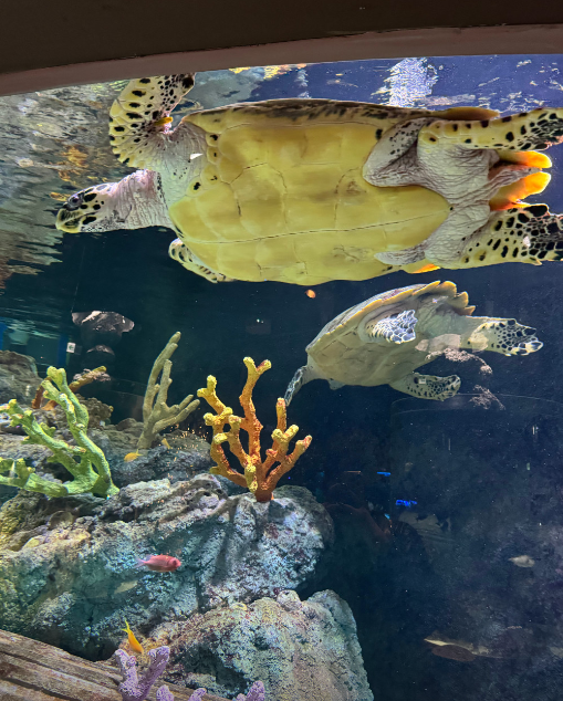 대전엑스포 아쿠아리움4