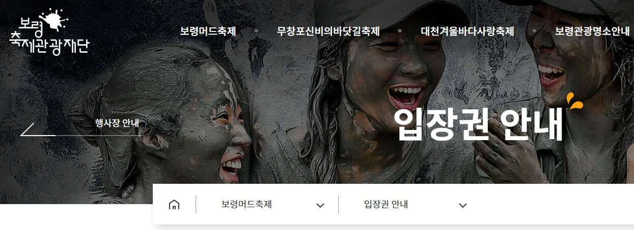 보령머드축제 예매 요금