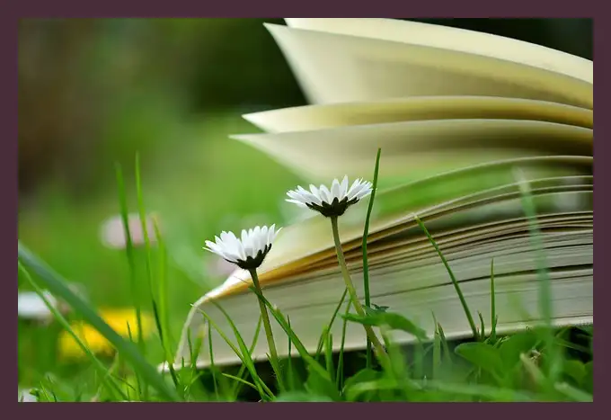 작별하지 않는다 줄거리