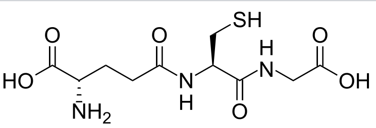 글루타치온 골격 구조
