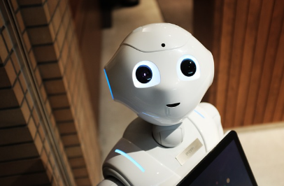 휴머노이드 로봇 트레이너