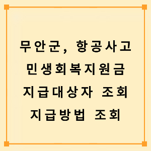 무안군, 항공사고 민생회복지원금 지급대상자 조회