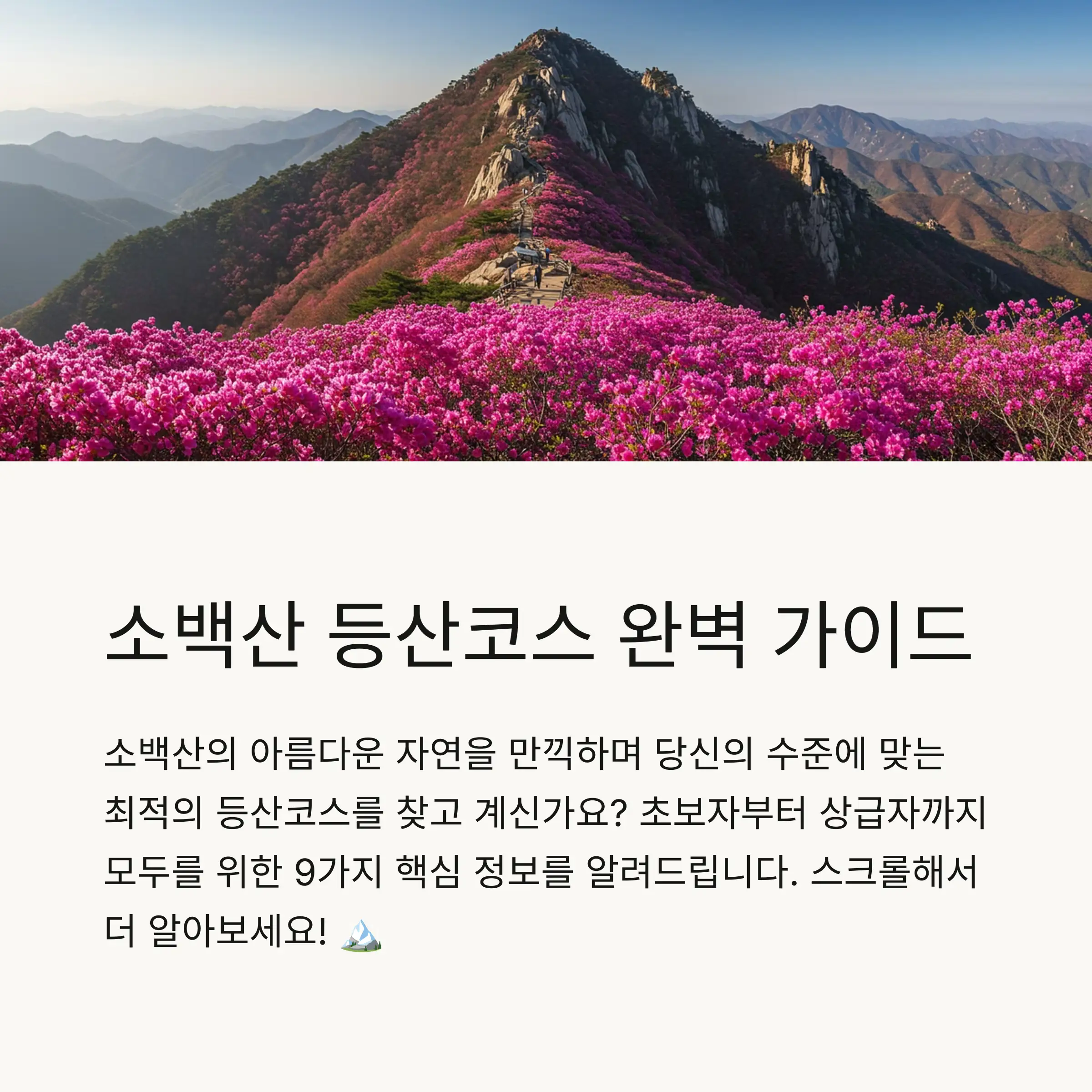 📋 목차