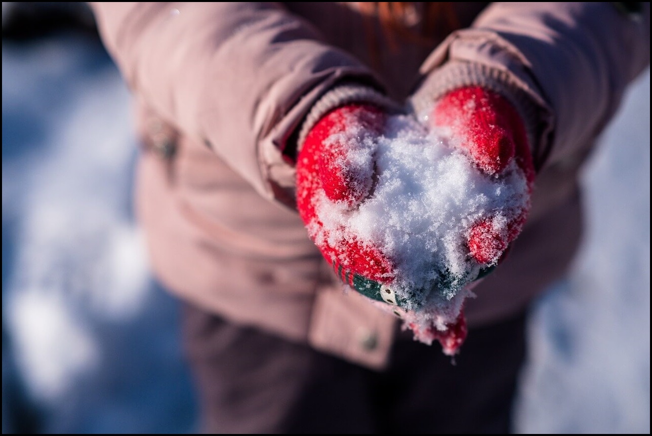 축제 기본 정보