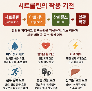 백수과피분말-효능-뜻-용법-만드는법-가격