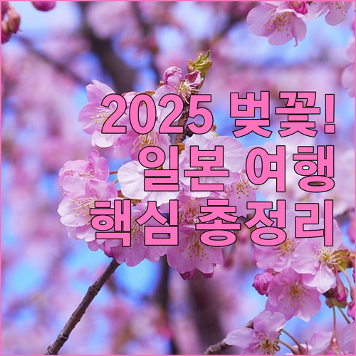 도쿄 오사카 후쿠오카 벚꽃 개화 일정..