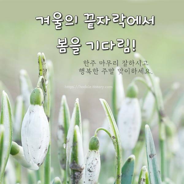 늦겨울 인사말