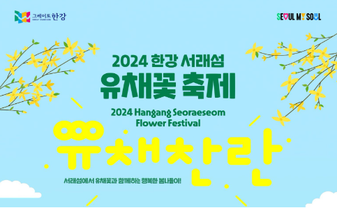 한강 서래섬 유채꽃 축제