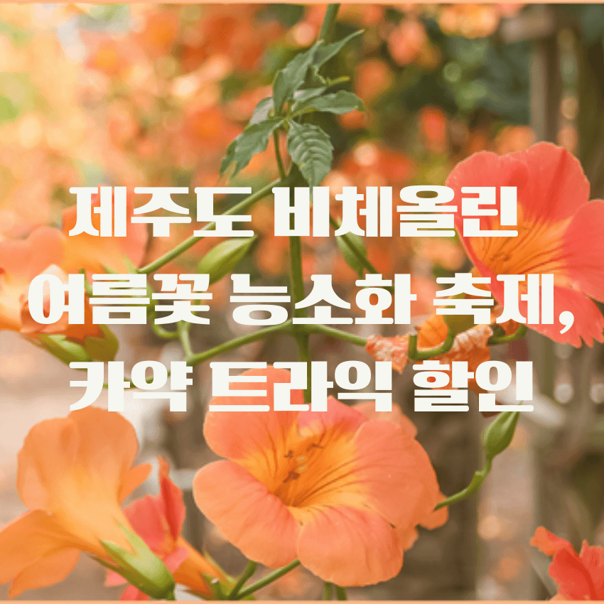 제주도 비체올린 여름꽃 능소화 축제 카약 트라익 할인