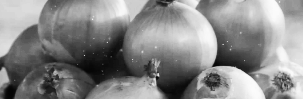 완전히 넘어진 후 30~50% 정도가 말랐을 때