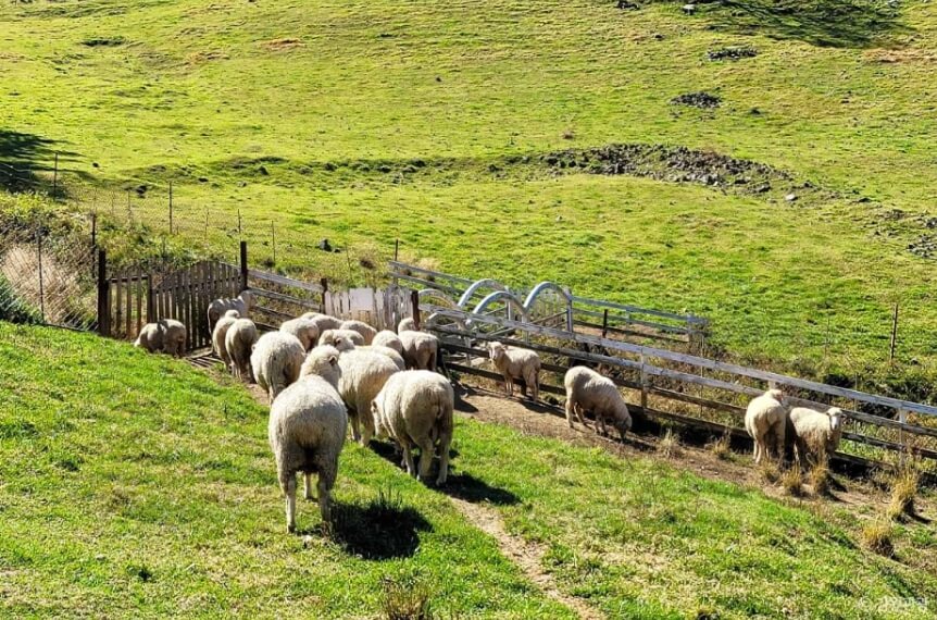 정선 가볼만한곳 베스트 10