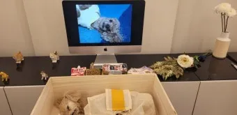 강아지 장례식장 비용 화장 무덤 법적 절차_48