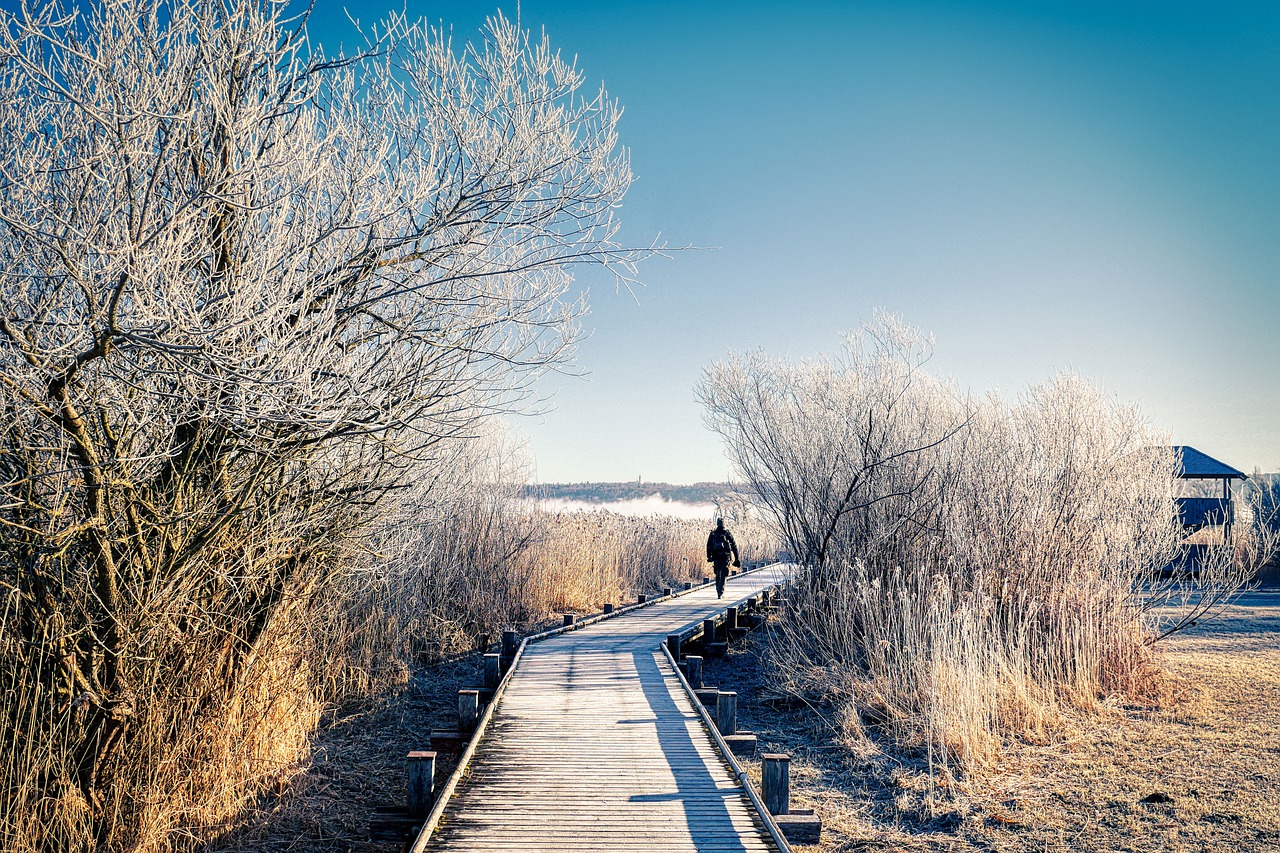 도시 속 조용한 산책코스 남향 숲길과 잘 어울리는 겨울 감정 힐링 산책코스 &ndash; 겨울 햇살 아래에서 마음이 자연스럽게 풀리는 길