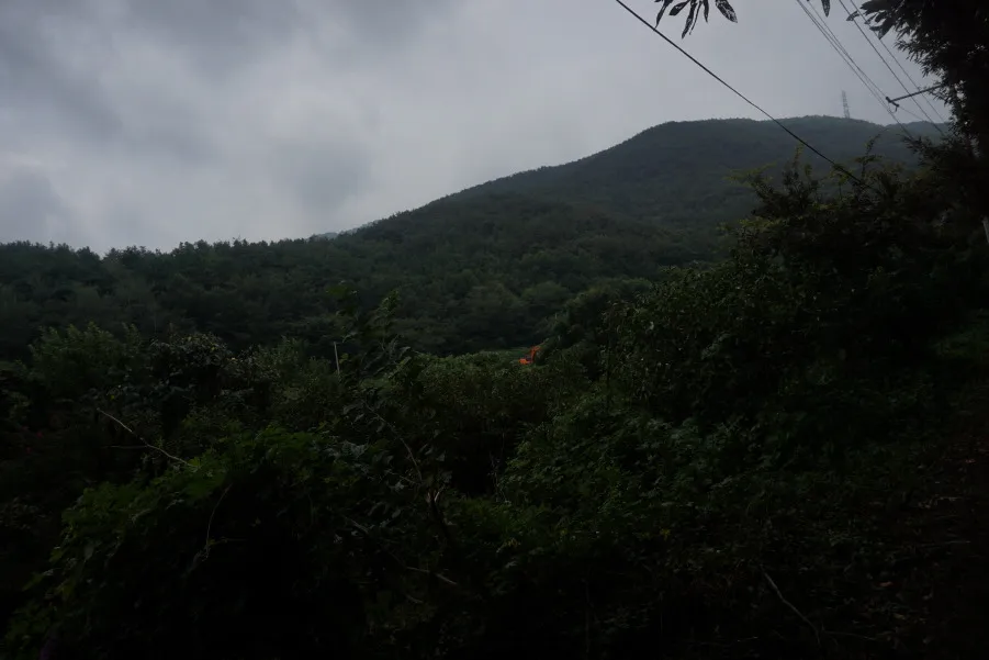 소백산 비로봉 연화봉 등산 완벽 산행코스 소요시간 주차팁과 철도 정보_3