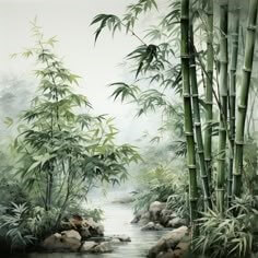 안개가-피어오르는-산에서-푸르게-위엄을-뽐내고-있는-대나무