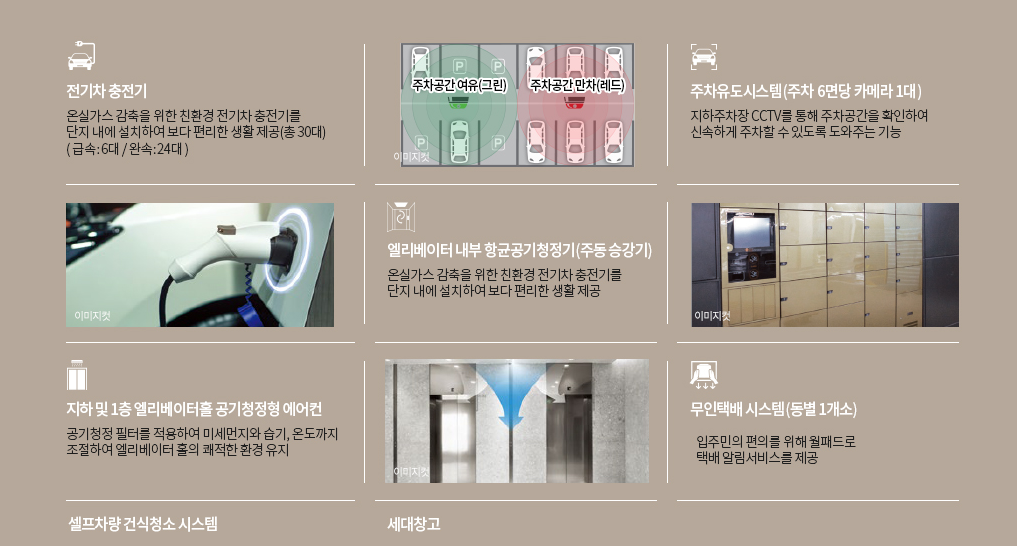 도룡자이라피크 브랜드 희소성