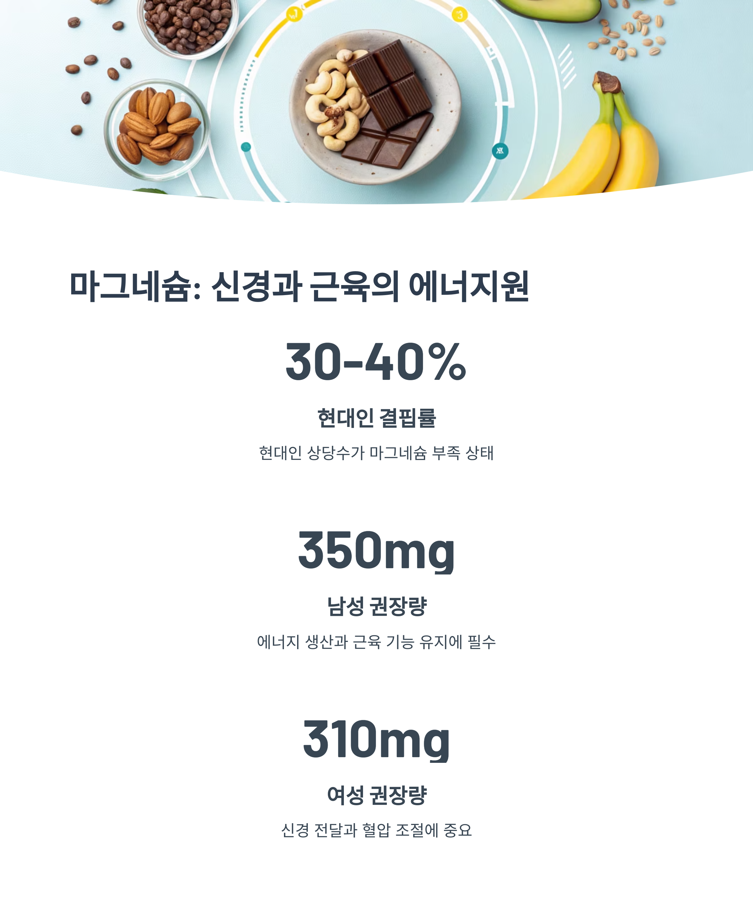 마그네슘 : 신경과 근육의 에너지원