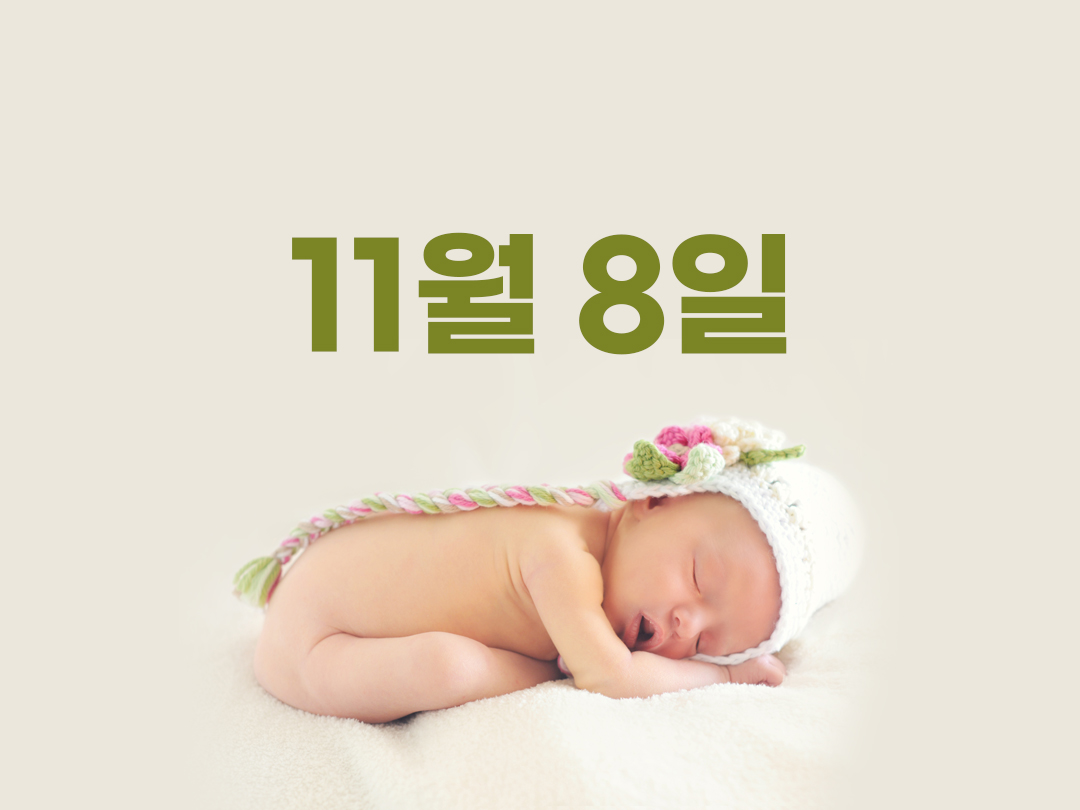 11월 8일 천주교 남자세례명 11가지