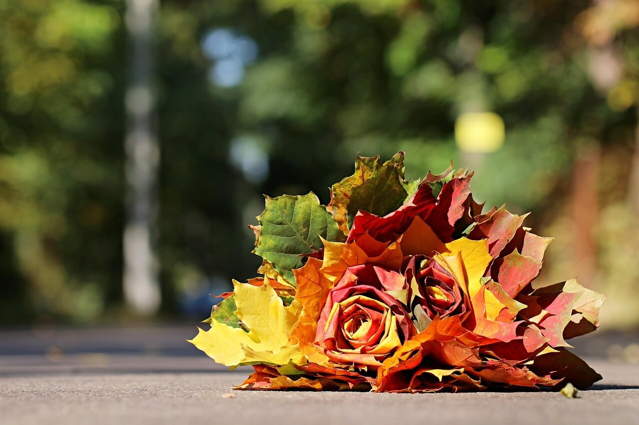 전국 가을 단풍 명소 총정리