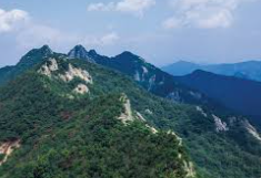 계룡산 국립공원 실시간 cctv