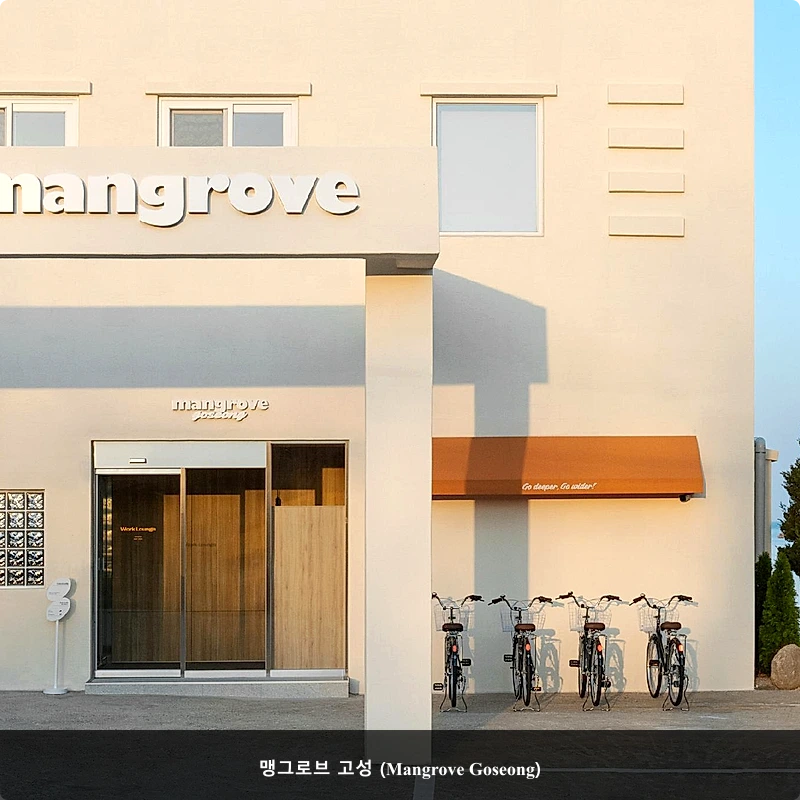 맹그로브 고성 (Mangrove Goseong)_1