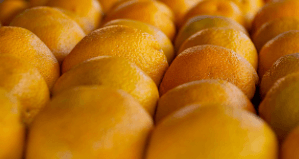 부산 온누리 상품권 환급