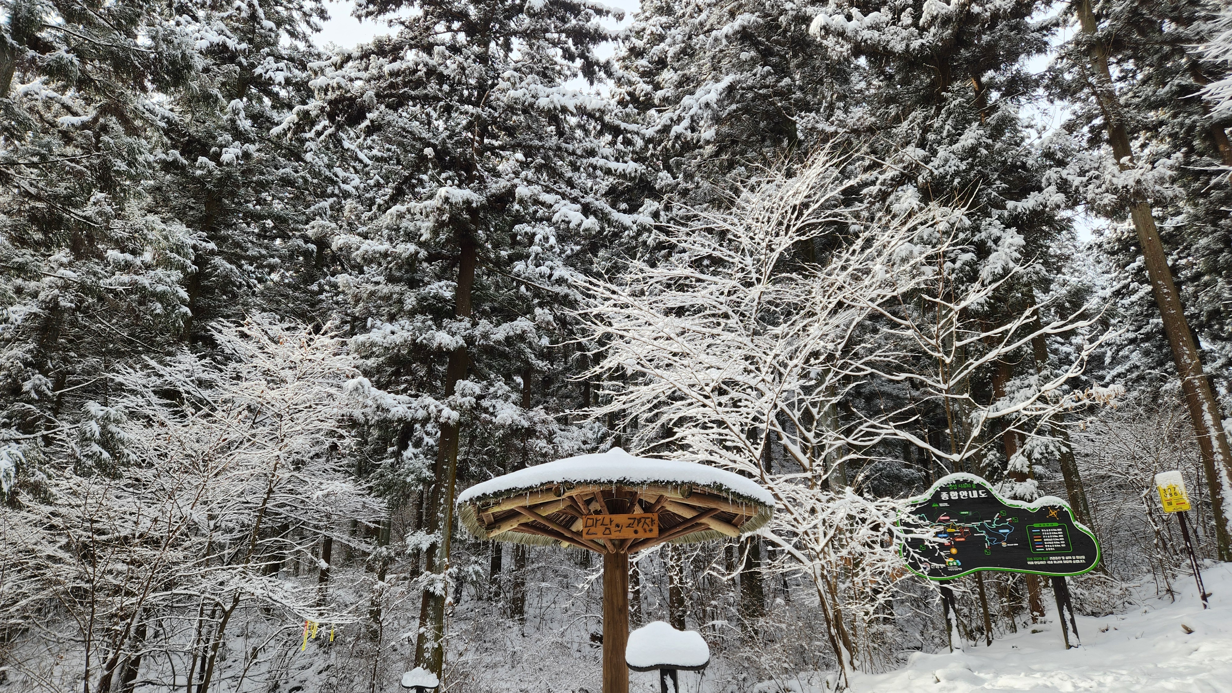눈 덮인 만남의 광장. 오른쪽으로 가면 깔딱고개와 축령산 전망대