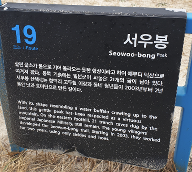 제주도 한달살기 올레길 19코스 서우봉