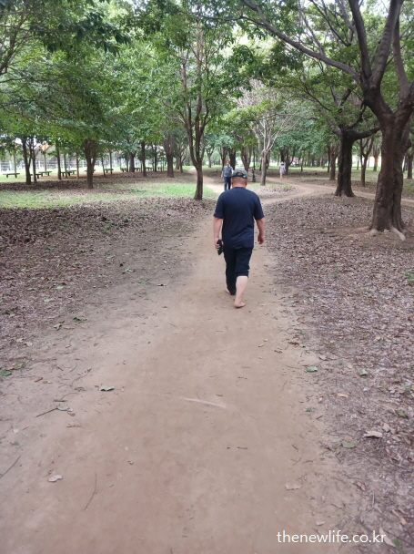 광나루 한강공원의 서울 맨발 걷기 좋은 숲속 흙길을 맨발로 걷는 중년 남성의 뒷모습