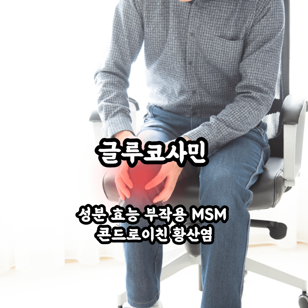 글루코사민 성분 효능 부작용 MSM 콘드로이친 황산염