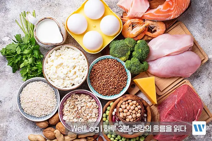 알부민 수치저하 부족증상 부작용 복용법